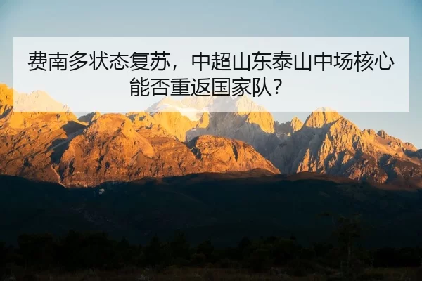 fei-nan-duo-zhuang-tai-fu-su-zhong-chao-shan-dong-tai-shan-zhong-chang-he-xin-neng-fou-chong-fan-guo-jia-dui-2-319.jpg