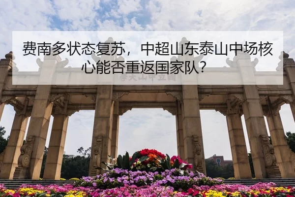 费南多状态复苏，中超山东泰山中场核心能否重返国家队？